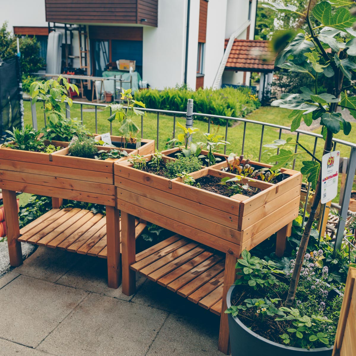 City Farming - mein grüner Balkon