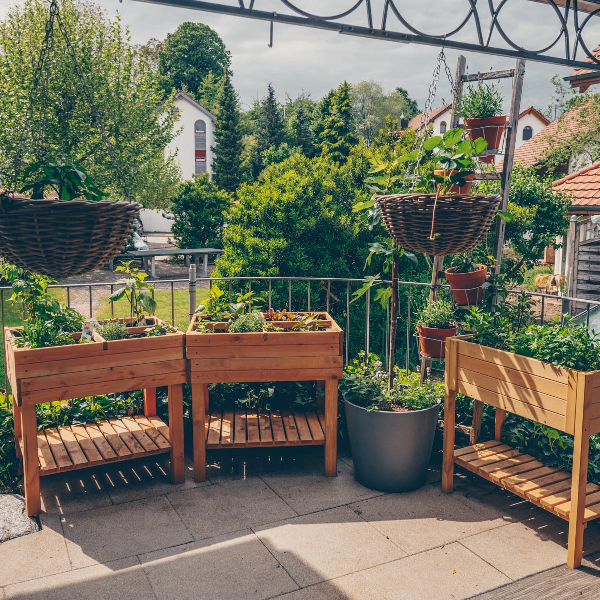 Urban Gardening